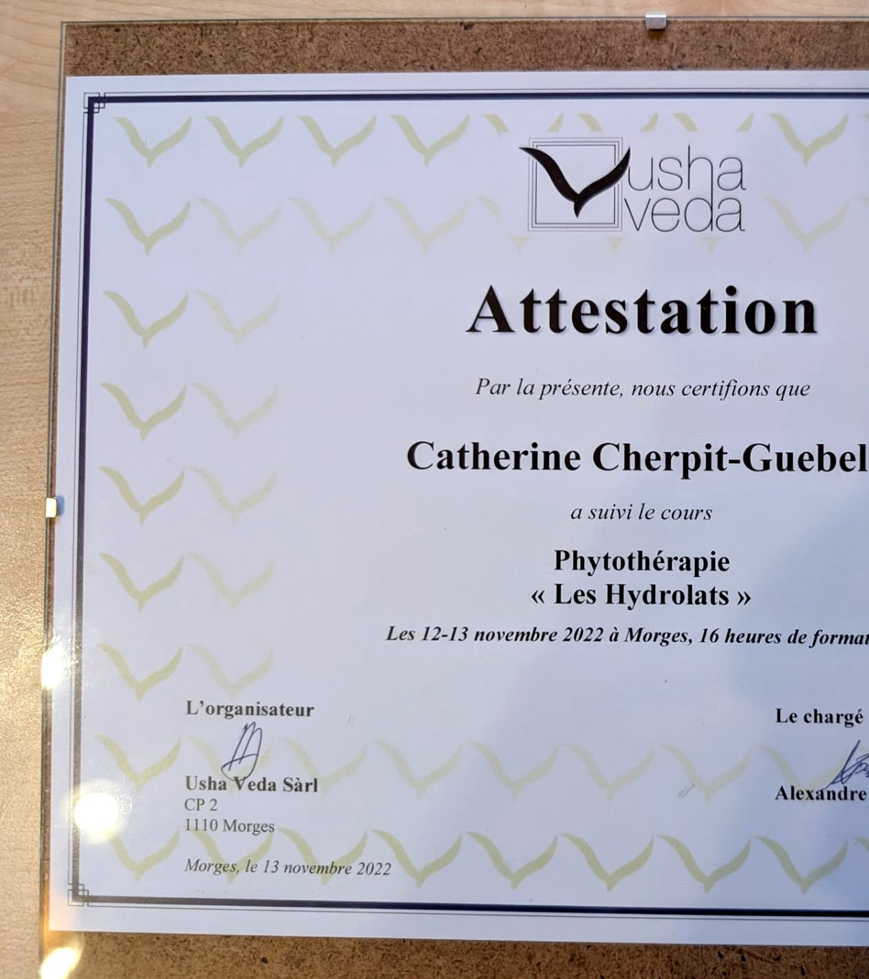 Phytothérapie · Les hydrolats — Usha Veda, Morges